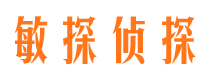 孟村市调查公司